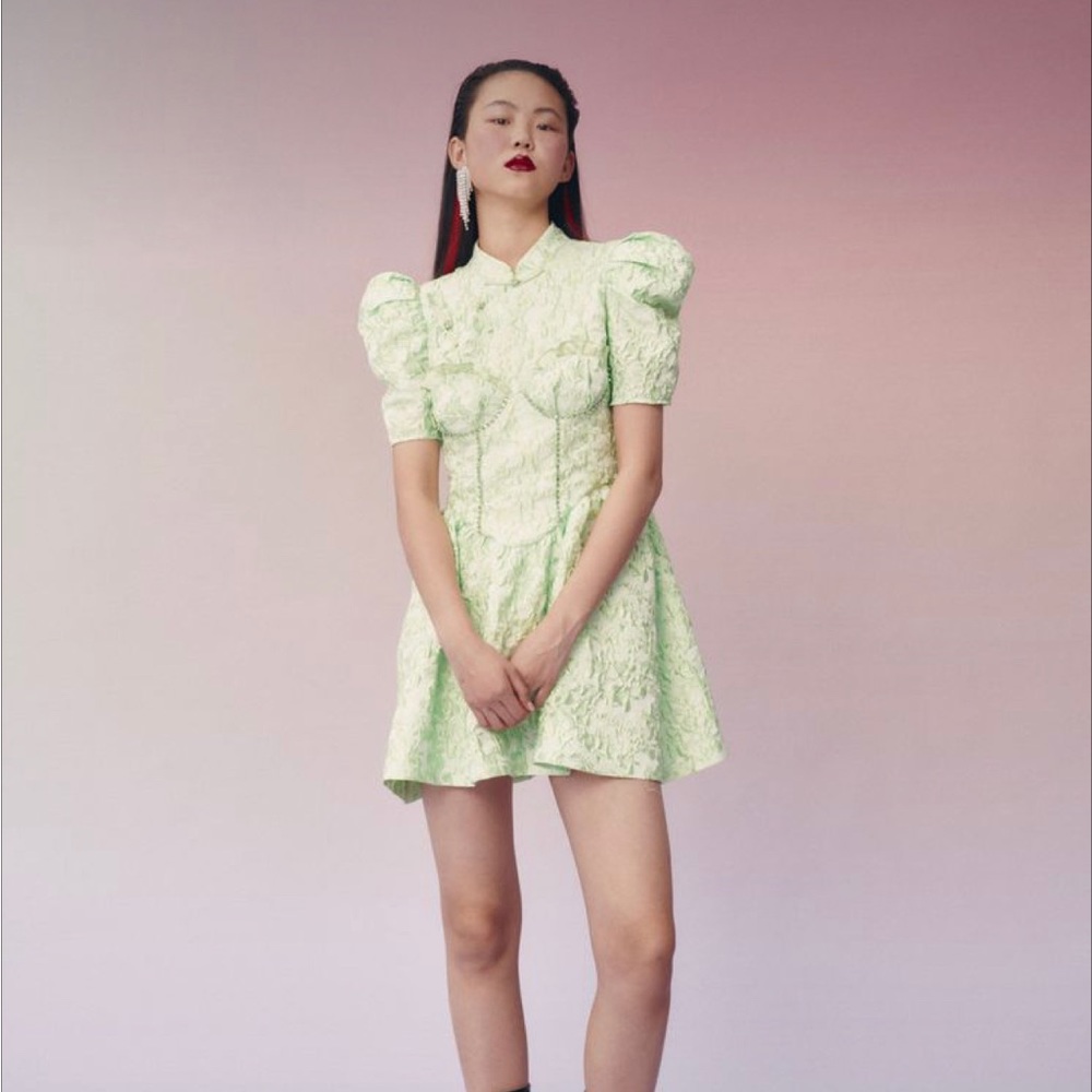 MUKZIN Light Green Vintage Dress - TIGER SNIFFING ROSE